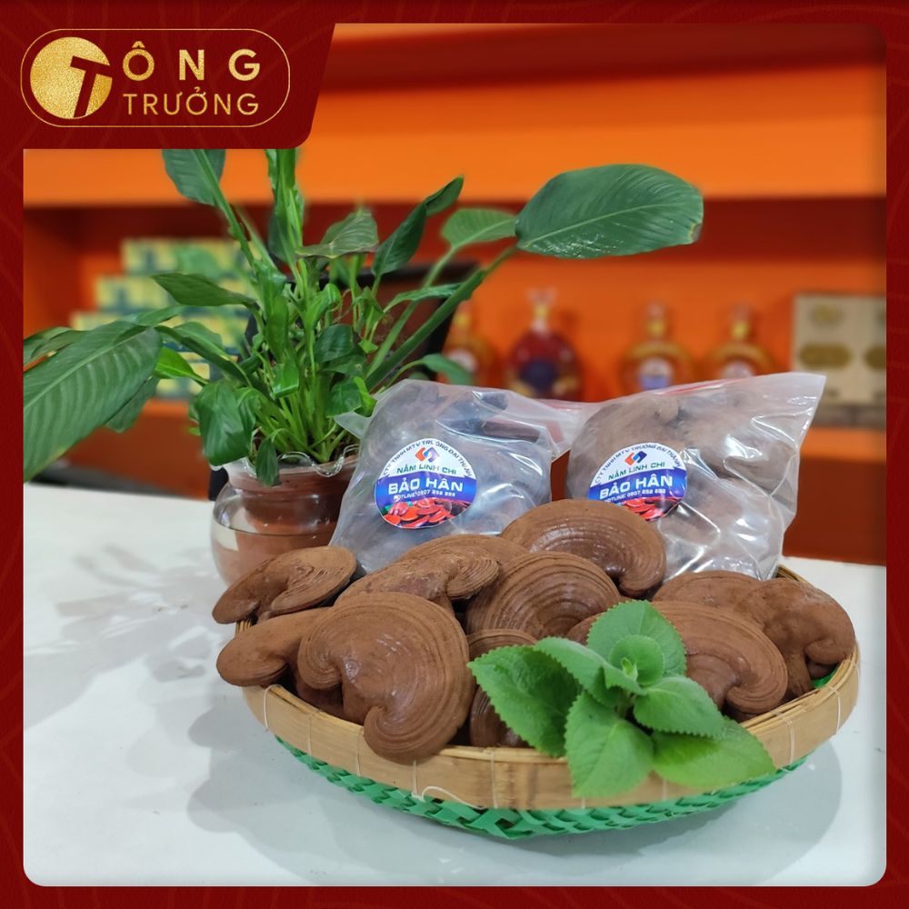 Nấm Linh Chi (Túi 250gr)